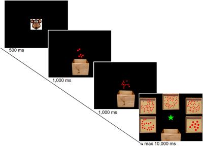 The Developmental Trajectory of the Operational Momentum Effect